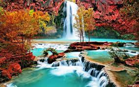nature
